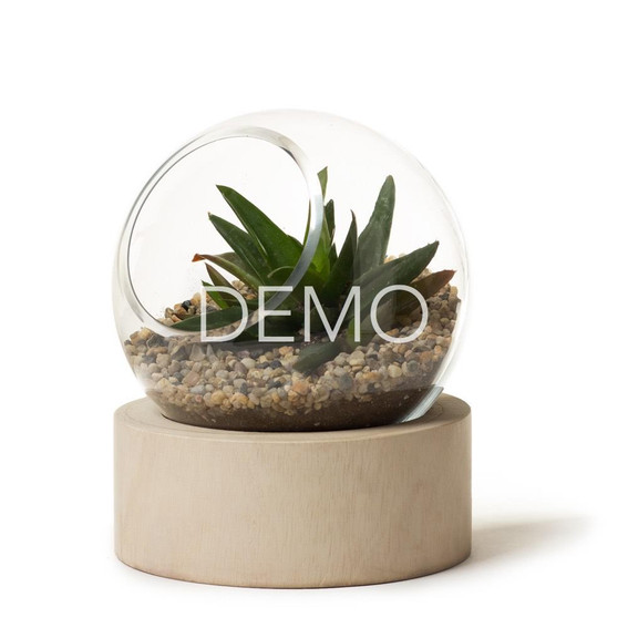 [Sample] Orbit Terrarium - Small - pre order