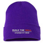 Build The Wall Change My Mind Beanie