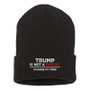 Trump Is Not A Fascist Change My Mind Beanie