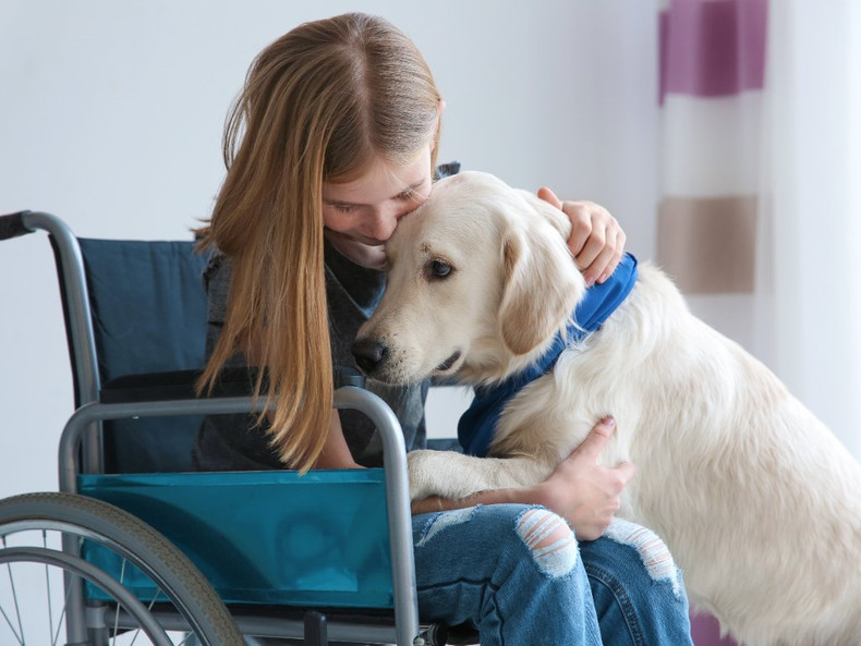 ADA Rules For Service Dogs