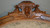 SOLD John Jelliff Gentleman’s Arm Chair