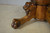 SOLD Antique Dining Table / Round Oak Banquet Table Lion Carved Legs