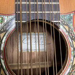 Cordoba 12 String Sexto Guitar