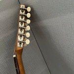 Cordoba 12 String Sexto Guitar