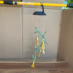 Bird Wind Chimes for Outside (Pack 2)