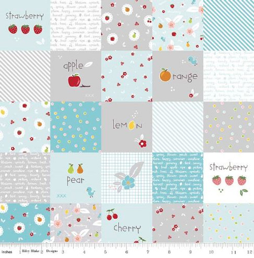 Riley Blake Fabric - Sweet Orchard Sedef Imer of Down Grapevine Lane - Aqua #DC5480