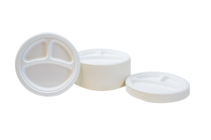 Sugarcane plates and Bowls