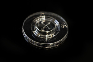 flat lids for 285/340ml cups