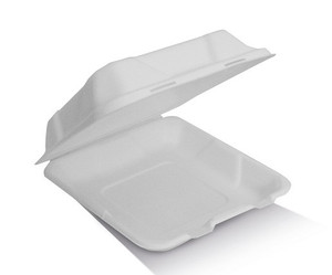 Sugarcane Dinner Box