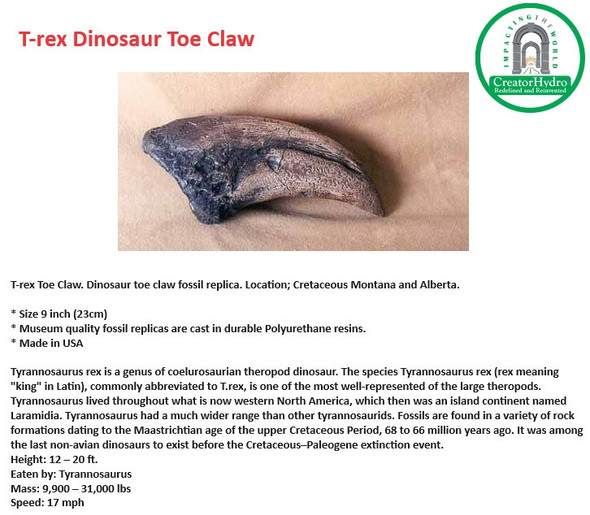T-rex Toe Claw. Dinosaur toe claw fossil replica, Size - 9 Inch