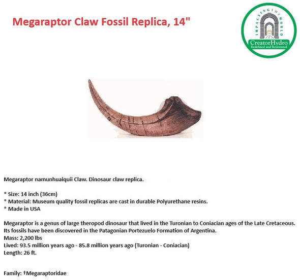 Mega raptor namunhuaiquii Claw| Dinosaur claw replica| Size - 14 Inch