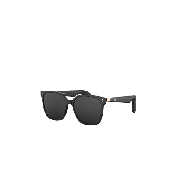 Smart sunglasses polarized