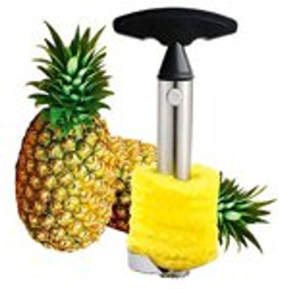 Easy Gadget Kitchen Fruit Pineapple Corer Slicer Cutter Peeler Stainless Steel