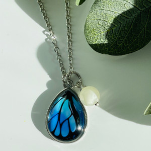 butterfly wing and pearl butterfly wing and pearl