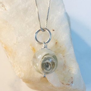 succulent breast milk pearl succulent breast milk pearl