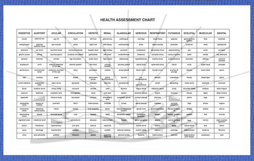 Health Assessment Chart