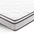 Bay Shore 8" Plush Mattress 