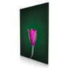 Large 180 x 120 cm : ArtBox Aluminium 50 mm, Black