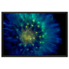 90 x 60 cm : Fuji Crystal Pearl | Basel 15, Oak Black