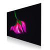 60 x 40 cm : Fuji Crystal Pearl | Slim Line, Black
