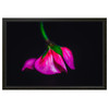 60 x 40 cm : Fuji Crystal Pearl | Basel 15, Oak Black