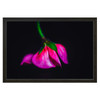 90 x 60 cm : Fuji Crystal Pearl | Basel 31, Oak Black