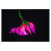 270 x 180 cm : Whitewall Fineart Paper | Basel 31, Oak Black
