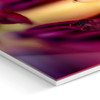 30 x 45 cm : Fuji Crystal Pearl | Slim Line : White