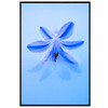 20 x 30 cm : Fuji Crystal Pearl | Art Box Wood : Oak Black