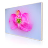Metallic Photo | Wooden ArtBox : XSmall, 45 x 30 cm : White Maple