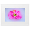 45 x 30 cm : Fuji Crystal Pearl | Mat | Hamburg 20 : White
