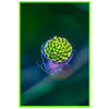 Metallic Photo | PopArt : Small, 60 x 40 cm : Neon Green