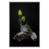 20 x 30 cm : Fuji Crystal Pearl | Aluminium ArtBox 25 : Silver