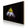 Metallic Photo | Wooden ArtBox : Small, 60 x 40 cm : Natural Oak