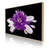 Metallic Photo | Wooden ArtBox : XSmall, 45 x 30 cm : Natural Oak