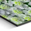 120 x 80 cm : Fuji Crystal Pearl | Slim Line : Black