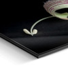 60 x 40 cm : Fuji Crystal Pearl | Slim Line : Black