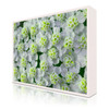 20 x 15 cm : Fuji Crystal DP II | Art Box Wood : Maple White