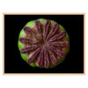 20 x 15 cm : Fuji Crystal DP II | Art Box Wood : Oak Natural