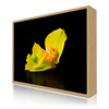20 x 15 cm : Fuji Crystal DP II | Art Box Wood : Oak Natural