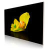90 x 60 cm : Fuji Crystal Pearl | Art Box Wood : Maple White