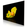 120 x 80 cm : Fuji Crystal Pearl | Art Box Wood : Maple White