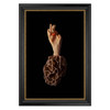 60 x 90 cm : Fuji Crystal Archive Maxima | London : Black-Gold