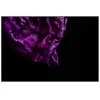 60 x 40 cm : Fuji Crystal DP II | Art Box Wood : Oak Black