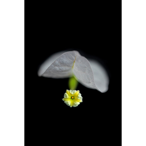 Jewellery Jewellery