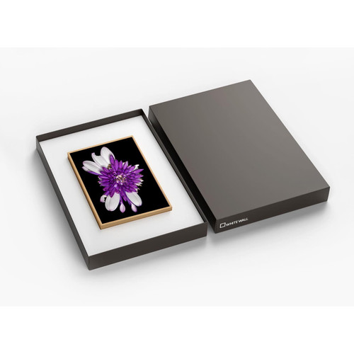 Diadem - Gift Edition Diadem - Gift Edition