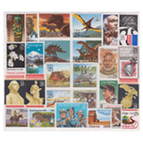 Commemorative Mint Year Sets