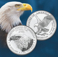 Redesigning the American Eagle Gold and Silver Coins