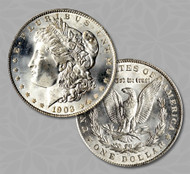 Collecting silver Morgan dollars