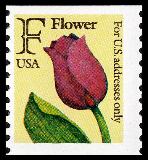 1991 29¢ F Flower Coil Mint Single